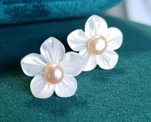 Shell Pearl Stud Earrings